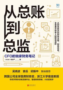 从总账到总监：CFO的独家财务